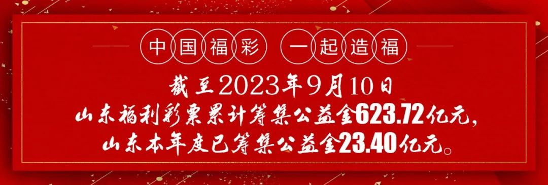 山东双色球一等奖彩票，幸运降临的瞬间与背后的故事