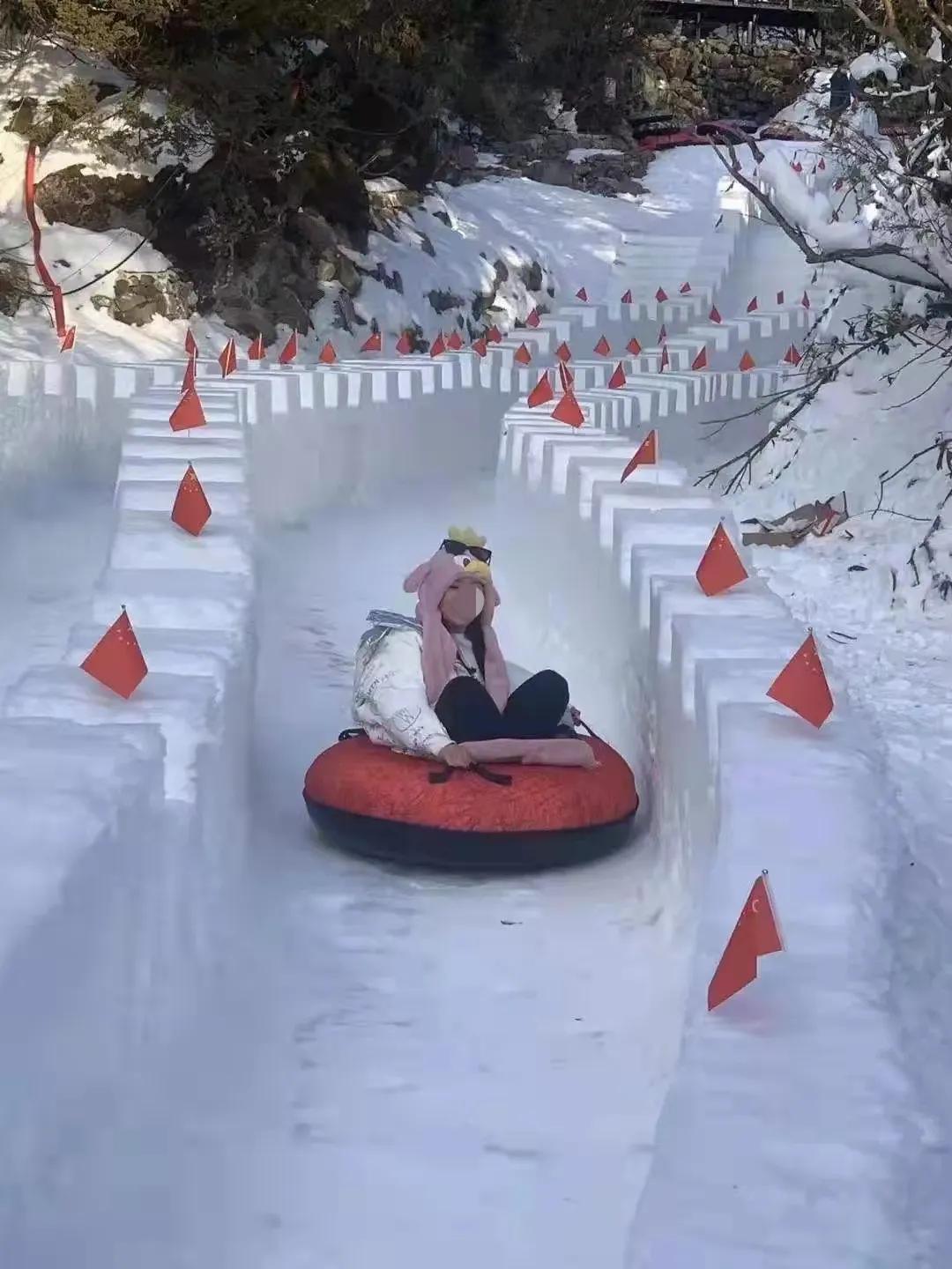 云南十一选五开奖视频，探索彩票背后的故事