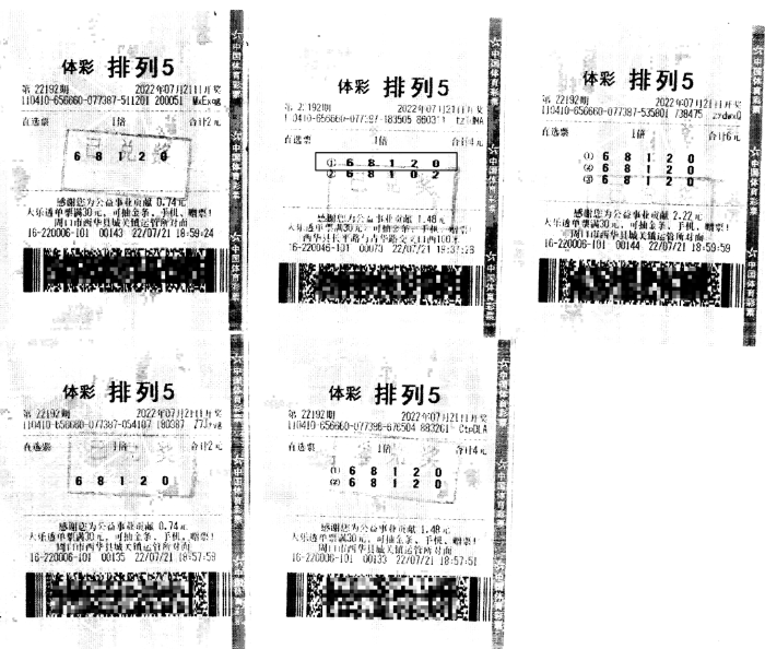 探索排列五走势图带连线专业版，揭示数字彩票的魅力与策略