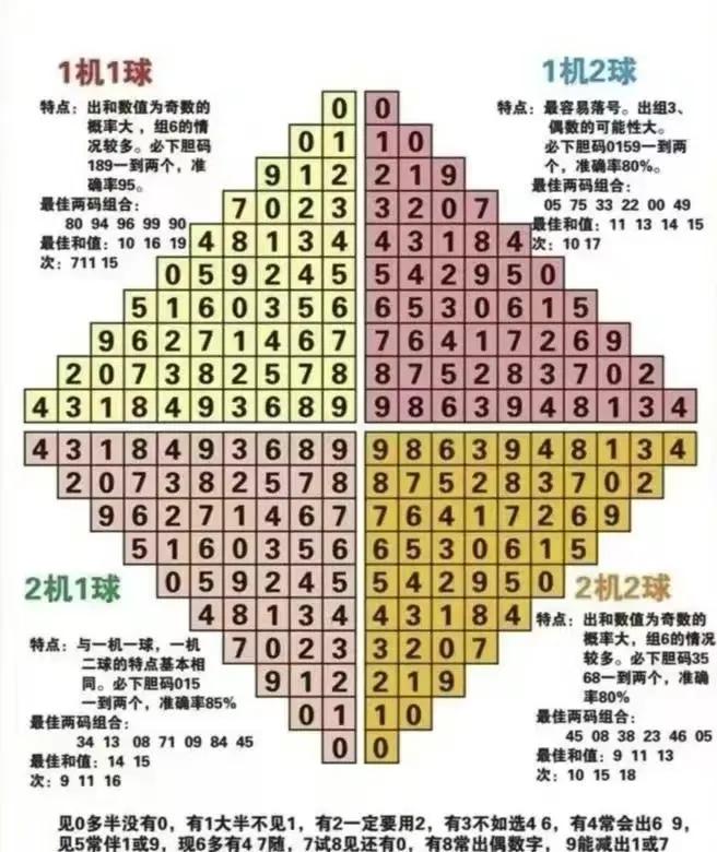 探索3D彩票近1000期走势图表，揭秘数字背后的秘密