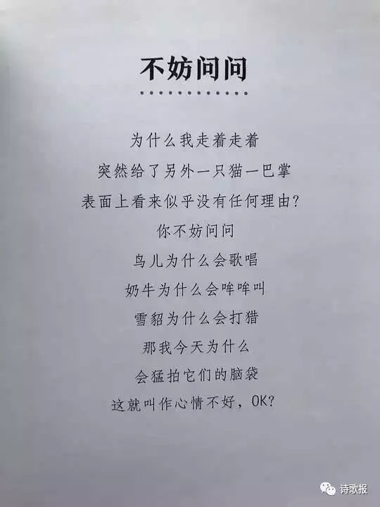 解太湖字谜总汇今日，探寻神秘字谜的奥秘