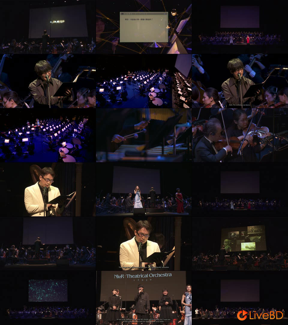 澳门6号演唱会视频播放大全集完整，一场音乐的盛宴澳门6号演唱会视频播放大全集完整免费观看