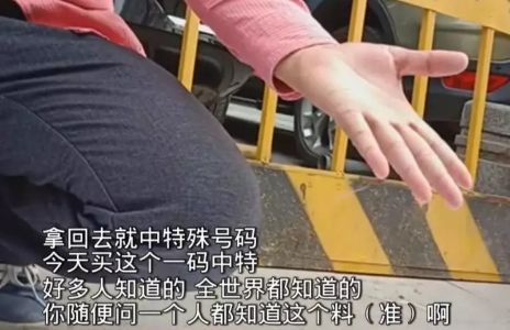澳门6码中特中奖资料解析与号码探索澳门六码经典