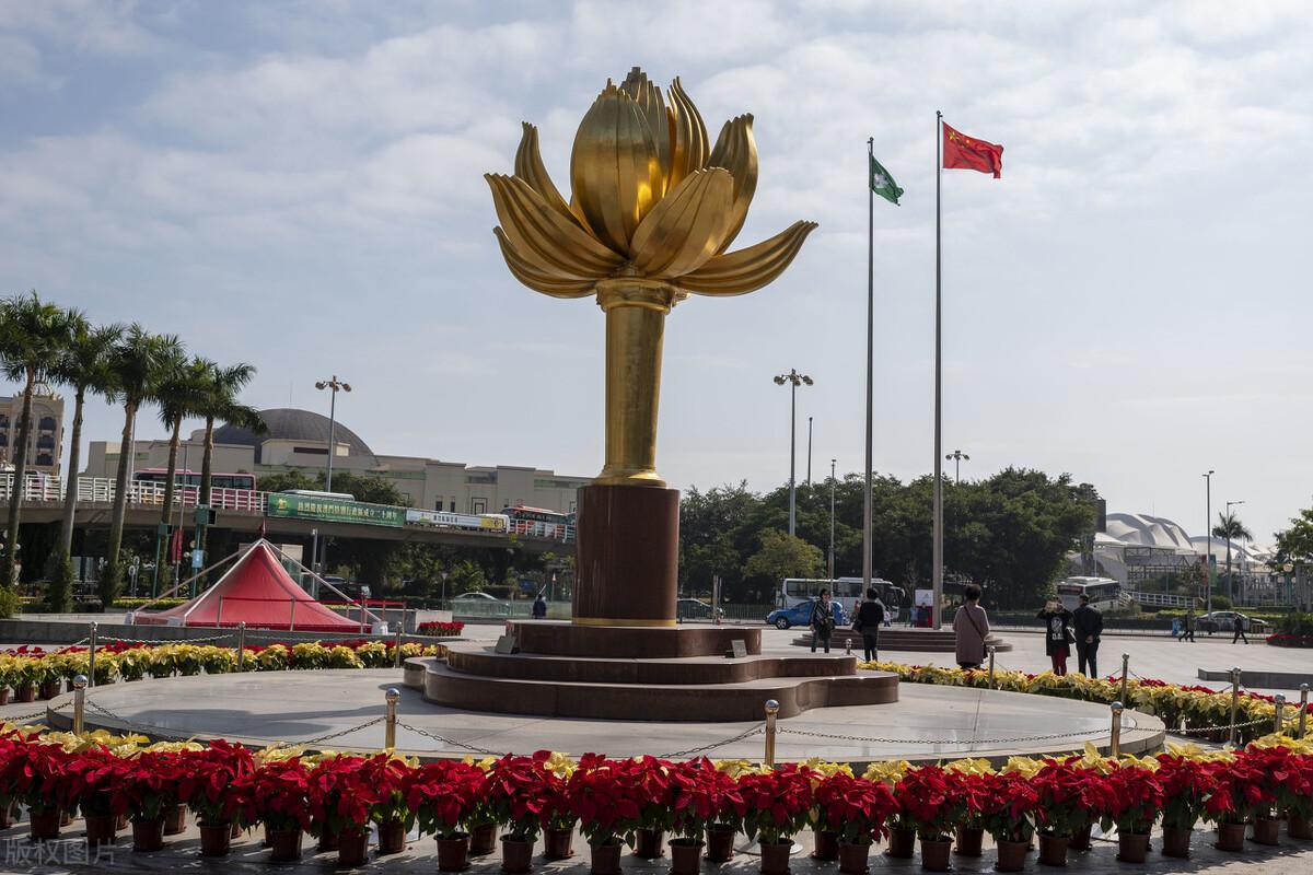 澳门经典视频，探索与赏析澳门6码经典视频完整免费
