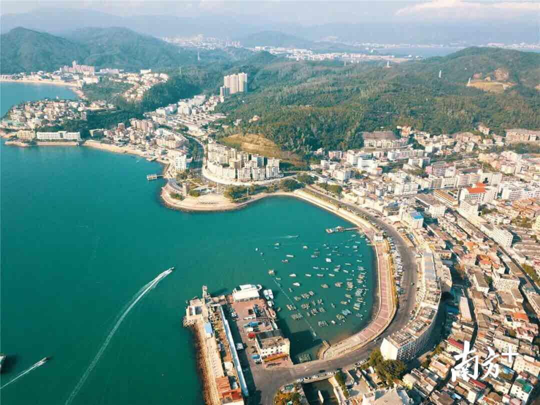 澳门6张牌照归属年限查询表最新图片及其相关内容解析澳门六张牌照