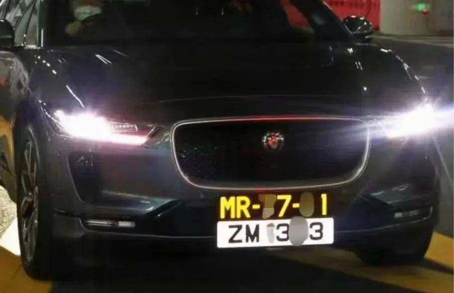 澳门六张牌照归属深度解析，视频讲解带你了解背后的故事澳门六张牌照